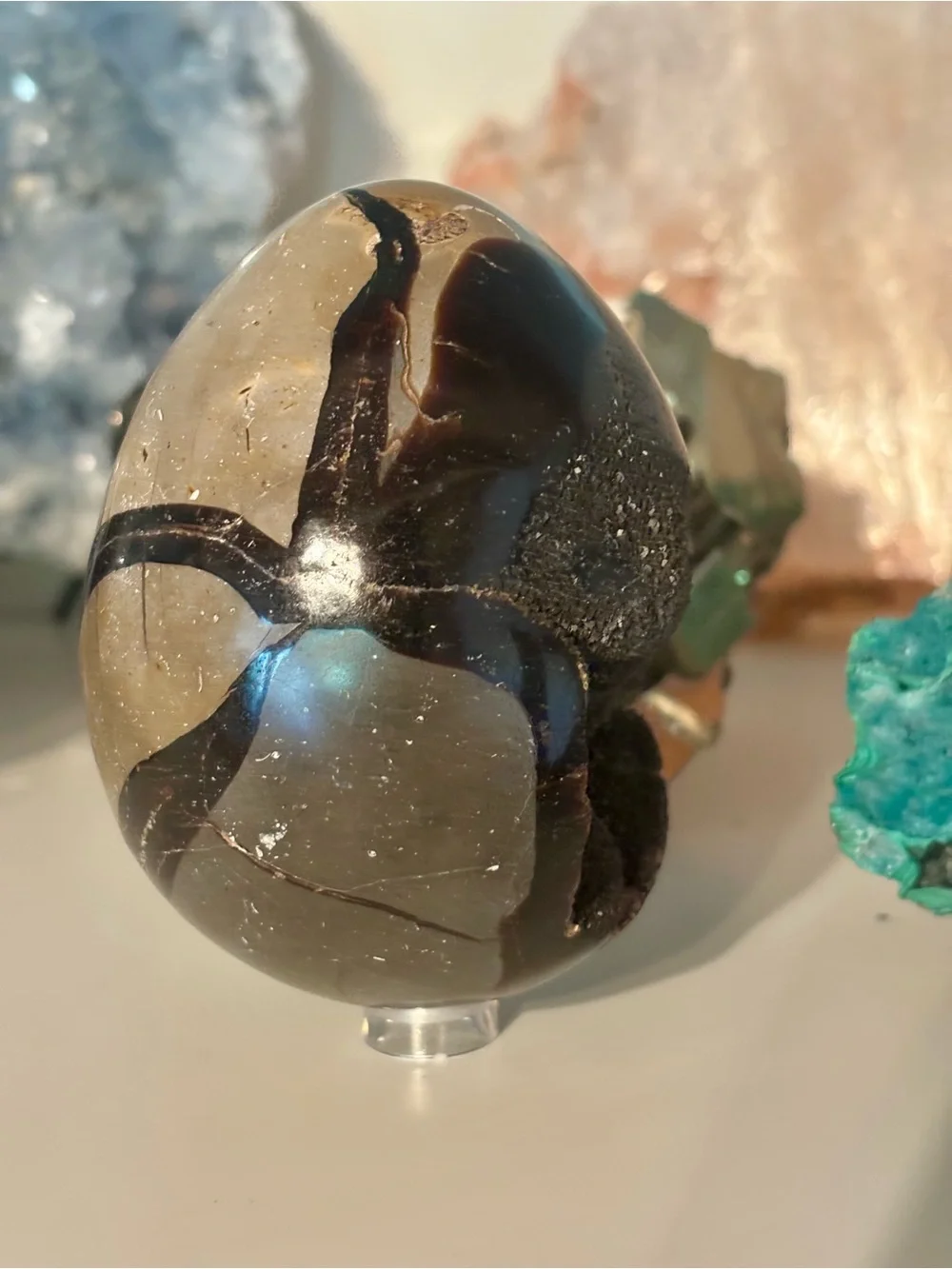 N/A striking polished